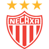 home-team-logo