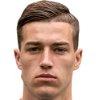 Luka Sucic
